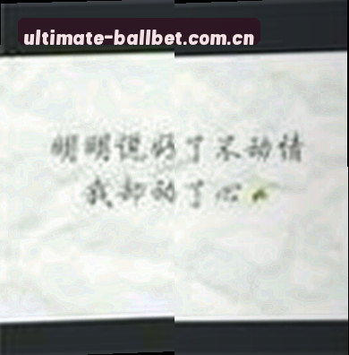 赵姐